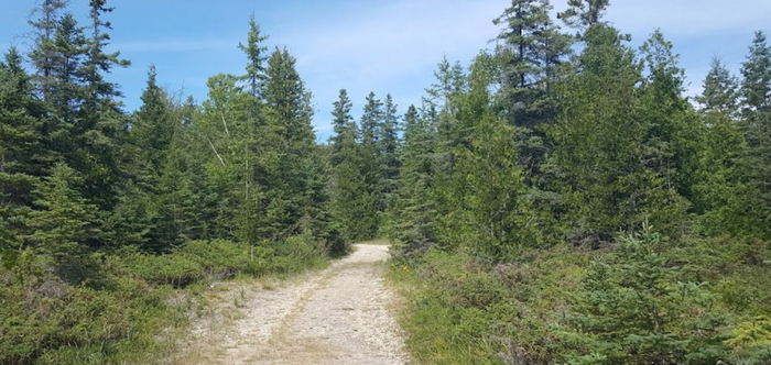 Straits State Park - From Web Listing (newer photo)